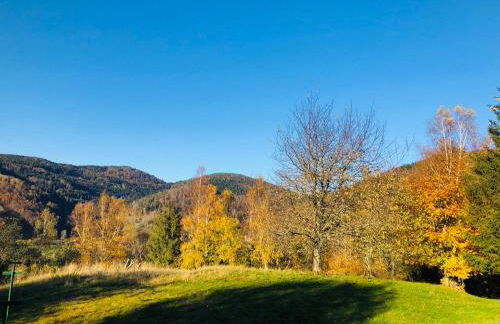 Chalet Meuselotte, à Bussang dans les Vosges - Foto 13