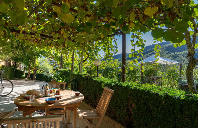 I Ciasi (VSP200) - Foto 2