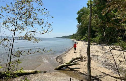 Chesapeake Holiday House - Foto 7