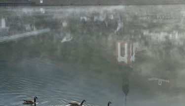 FeWo Kaamter F erkelsmarkt - Foto 3