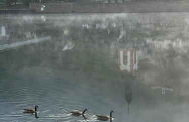 FeWo Kaamter F erkelsmarkt - Foto 3