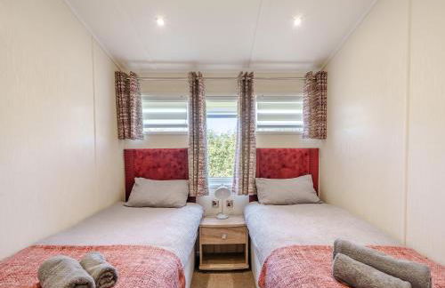 Red Robin - Uk49581 - Foto 10