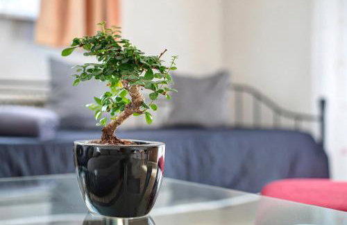 Ferienwohnung Panoramablick - Foto 11