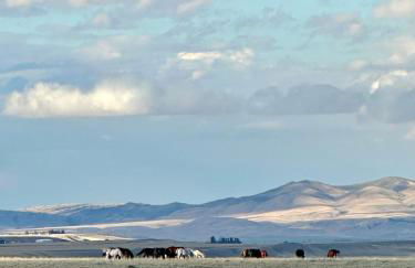 Madison Valley Vista Designer Suite - Foto 9