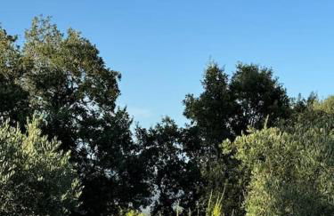 14474 Location saisonnière BAS DE VILLA dans un domaine privé prestigieux - Foto 13