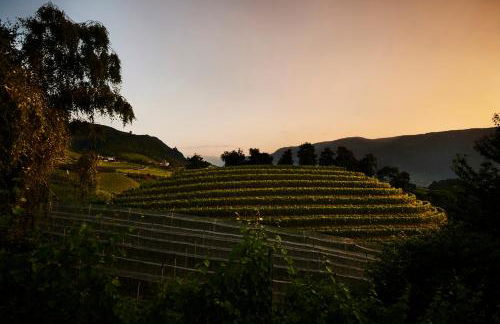 Weingut Stuck - Foto 21