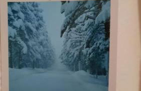 L'esquirol ! - Foto 25