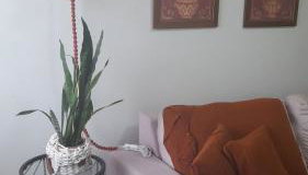 Apartamento Inteiro em Setor Nobre - Foto 4