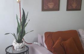 Apartamento Inteiro em Setor Nobre - Foto 4