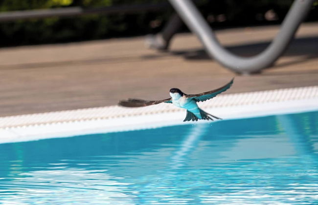 Affittacamere Campus Trigoria - Foto 23