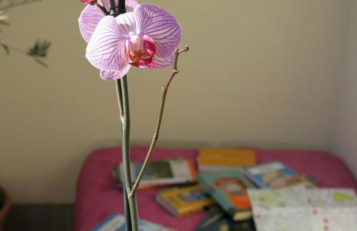 Bright and lovely private apartment in Milan - Foto 60