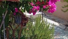 Lena's Family Home - Foto 2