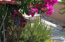 Lena's Family Home - Foto 2