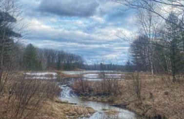 Barton City Lodge - Foto 28