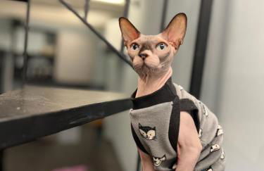 Collacchio 24 - Foto 43