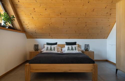 APARTAMENT No1 MOUNTAIN VIEW Sauna Priv okolice Zakopane Czorsztyn Kluszkowce - Photo 40