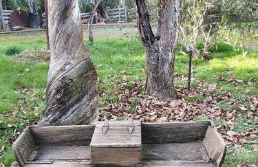 Crispin Cottage - Foto 23