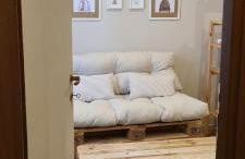 Musa Paradisiaca - Foto 22