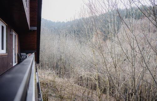 Ferienwohnung Waldeck - Foto 38