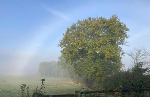 Simpers Drift, Great Glemham - Foto 13