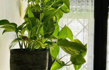 La casetta di Giulio II - Foto 15