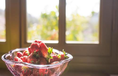 Moongarden - Foto 55