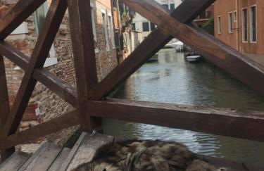 TINTORETTO 1 CON TERRAZZA SOPRA IL TETTO, 3 bagni, 3 grandi camere da letto, SUPER NUOVO - Photo 51