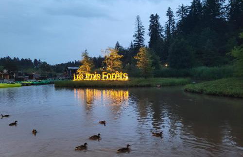 Hakuna Matata domaine des 3 forets-PMR-6 personnes sauna balneo-acces aquamondo non inclus - Foto 45