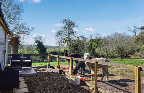 Alpaca Lodge - Photo 11