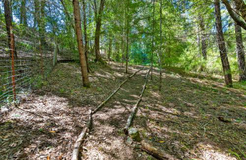 Caz-A-Verde - Foto 56