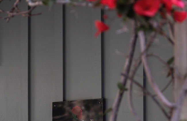 Bow Street Studios - Foto 38