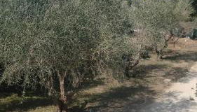 La Casa del Sole - Foto 5