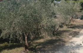 La Casa del Sole - Foto 5