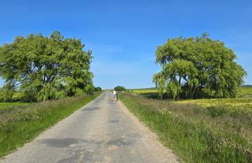 Oase am Deich - Photo 66