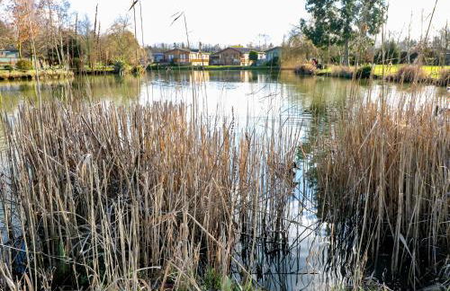 Stones Throw - Foto 31