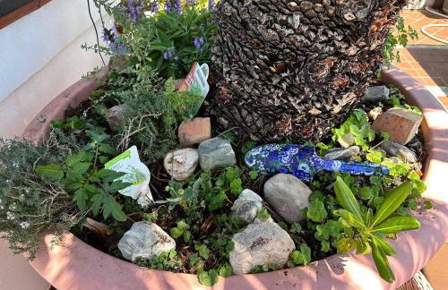 Othalan Aparments - Foto 57