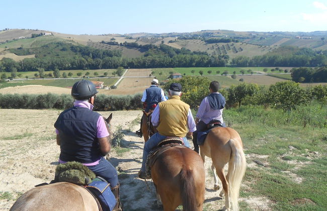 Casale Torre San Magno - Foto 36