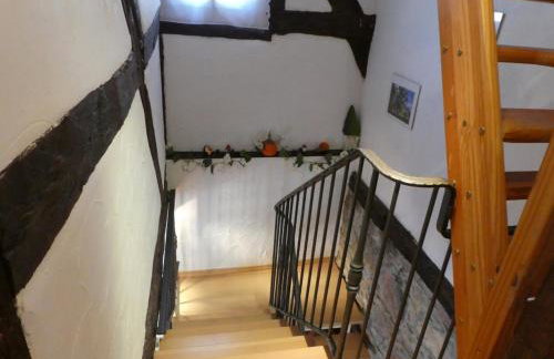 IFAM - Ihr Ferienhaus am Main - Foto 18