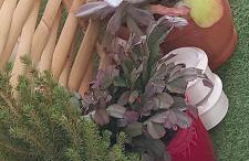 Casacamer S - Foto 40