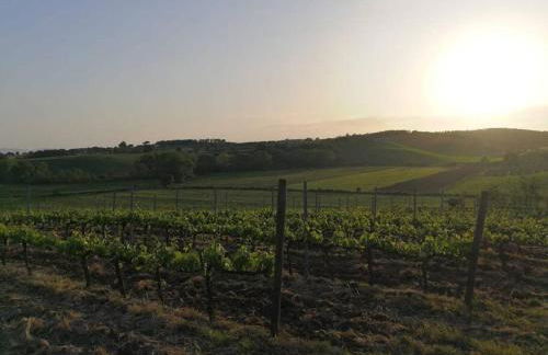 Podere 239 - Appartamento La Stalla - Foto 16