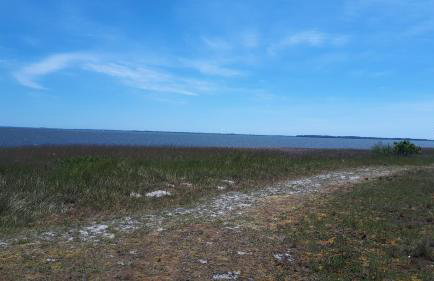 Ferienhaus am Gutspark 3, Klausdorf, ca 250 m bis zur Badestelle - Foto 24