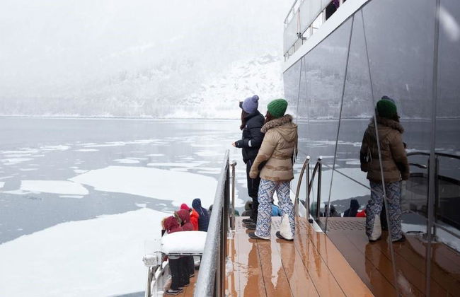 Croisière dans le fjord arctique de Tromsø - Photo 1