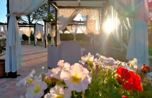 Il Pianaccio - Foto 10