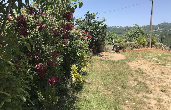 Karabina Village Houses - Foto 28