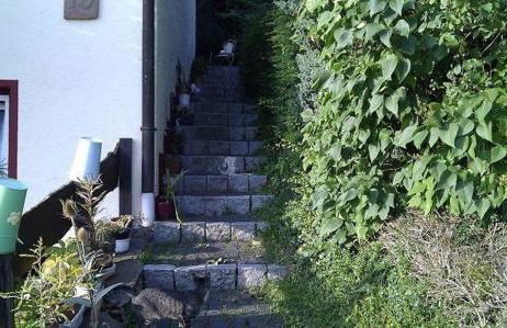 Ferienwohnungen Willrich - Ferienwohnung 3 - Foto 7