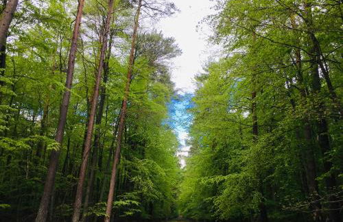 Röblinseeterrassen - Foto 3