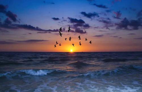 The Salty Cove IRB - Foto 36