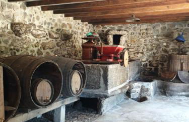 Quinta da Vinha Velha - Foto 20