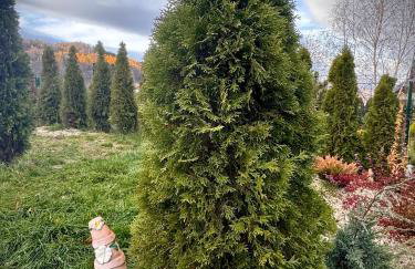 Śnieżna Chatka - Sosnówka Karpacz - Foto 12