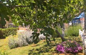 Apartments Krušvina - Foto 64